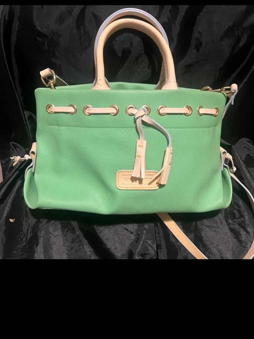 Dooney & Bourke Mint Green Satchel with Cream Trim